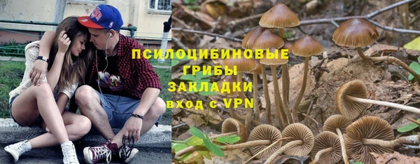 эйфоретик Касимов