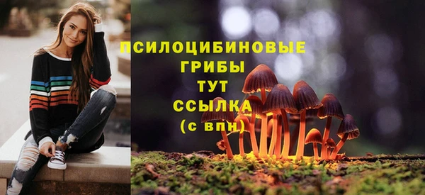 COCAINE Карпинск